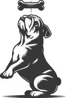 bulldog with Balancing a treat on the nose silhouette design. vector