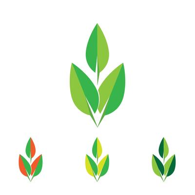 Collection of four green leaf and swirl eco-friendly logos.