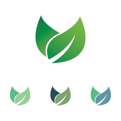 Collection of four green leaf and swirl eco-friendly logos.