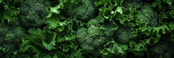 A of dark green broccoli leaves their textured surface and deep color adding a touch of earthiness photo