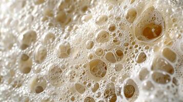 Macro shot of a textured surface with tightlypacked bubbles resembling a dense and bubbly foam photo
