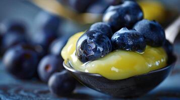 A scoop of chilled buckwheat pudding flecked with tender blueberries and a swirl of tangy lemon curd photo