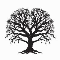 Black silhouette of a banyan isolate which background vector