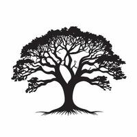 Black silhouette of a banyan isolate which background vector
