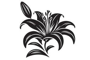 Lily flower file vector