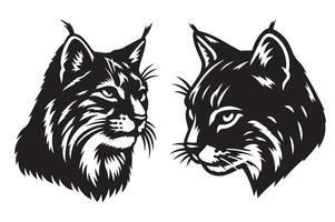 Bobcat Diet What Do They Eat vector