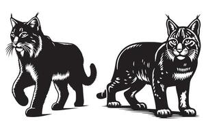 Bobcat Habitat Where Do They Live vector
