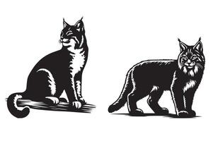 Bobcat vs. Lynx Key Differences Explained vector
