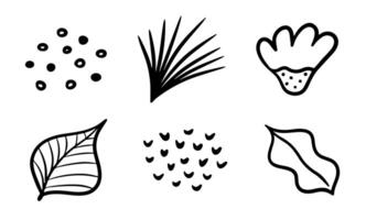 Doodle leaf set. Hand drawn floral shapes and leaves. Simple black minimalistic elements for design vector