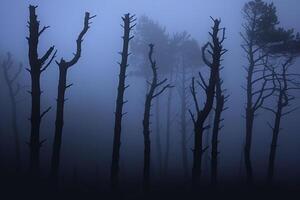 Group of dead trees in the fog background photo