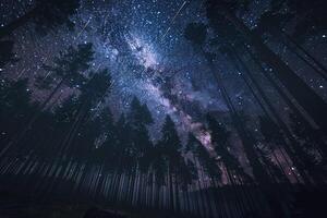 Milky Way Over Trees in a Forest Background photo