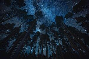 Dark Sky Background photo