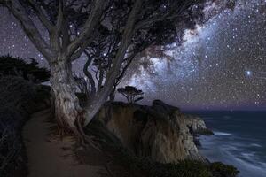 Milky Way Over the Ocean and Trees, Background photo