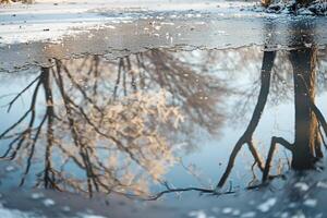 Reflection of Trees in Frozen Pond Background photo