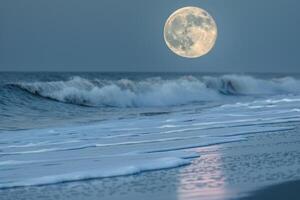 lleno Luna en playa con naturaleza antecedentes foto