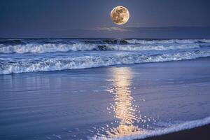 lleno Luna en playa antecedentes foto