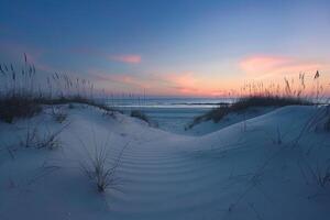 Path to Beach at Sunset, Nature Background photo