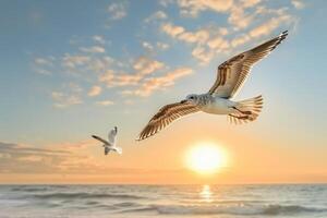 A Seagull Flying Over the Ocean at Sunset, Background of a Seagull Flying Over the Ocean at Sunset photo