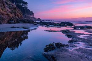 A Sunset on the Beach with a Pink Sky, Background of a Sunset on the Beach with a Pink Sky photo
