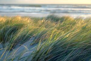 A Beach with Grass and Waves in the Background, Background of a Beach with Grass and Waves in the Background photo