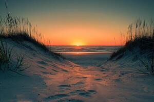 A Path Leading to the Beach at Sunset photo