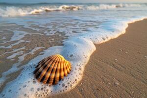 Shell on Beach with Waves and Foam photo