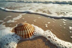 A shell on the beach with waves and foam photo