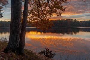 A Lake with Trees and a Sunset in the Background photo