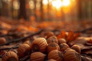 Group of Acorns on Ground in the Forest background photo