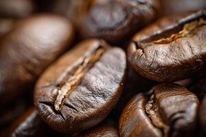 Coffee Beans Background   of coffee beans photo