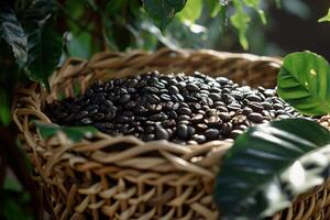 A Basket Filled with Coffee Beans on Background photo