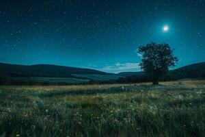A Field with a Tree and a Moon in the Sky Background photo