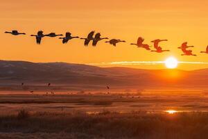 A Flock of Birds Flying in Formation over a Field Background photo