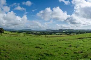 Field with Few Trees and Hills Background photo