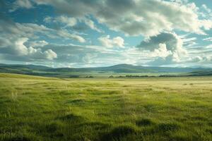 Grassy Field with Mountains in Background photo