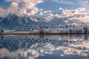 Geese Flying over Lake in Mist Background photo