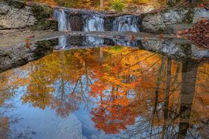 Waterfall in Woods with Reflection of Trees Background photo