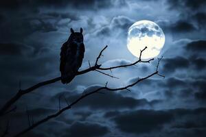 Owl on branch in dark with full moon background photo