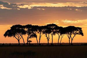 Group of Trees in Middle of Field Background photo
