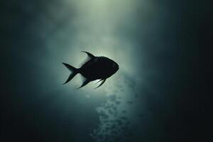 Fish in Dark with Light coming from Sun Background photo