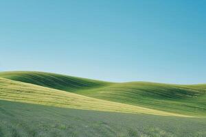 Lone Cow Stands in a Field of Green Grass Background photo