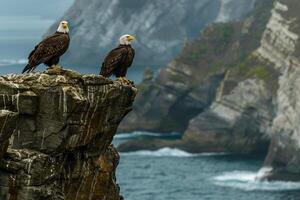 two bald eagles perched on a cliff overlooking the ocean, background photo