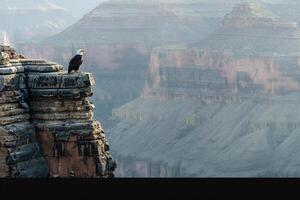 Bird perched on a cliff overlooking a canyon background photo