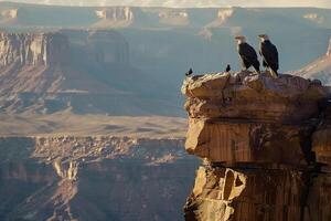 Two bald eagles perched on the edge of a cliff background photo