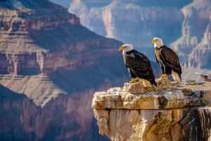 Two bald eagles perched on the edge of a cliff background photo