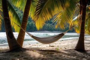 a hammock is hanging between two palm trees on a beach background photo