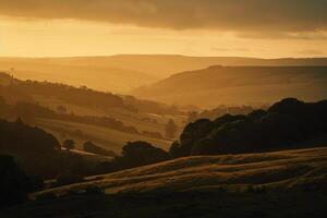Large Field with Trees and Hills Background photo