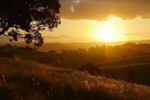 Sunset over Hill with Grass and Trees Background photo