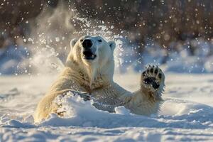 a polar bear is playing in the snow photo