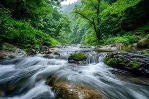 a river flowing through a forest with rocks and trees photo